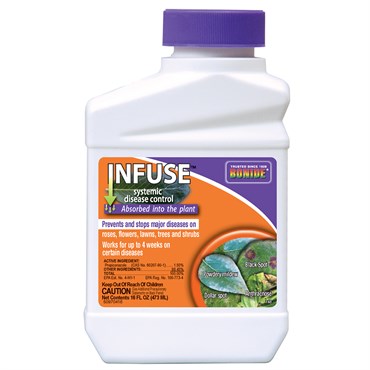 bonide conc infuse fungicide systemi