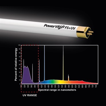 hortilux powerveg