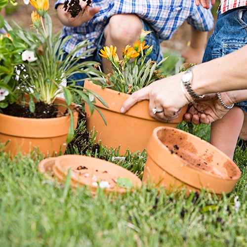 Deroma Bowl Planter, Terra Cotta Clay, 9 In.